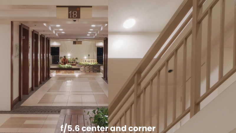 Modern building corridor with numbered doors, potted plants, and wooden staircase railing in neutral tones.