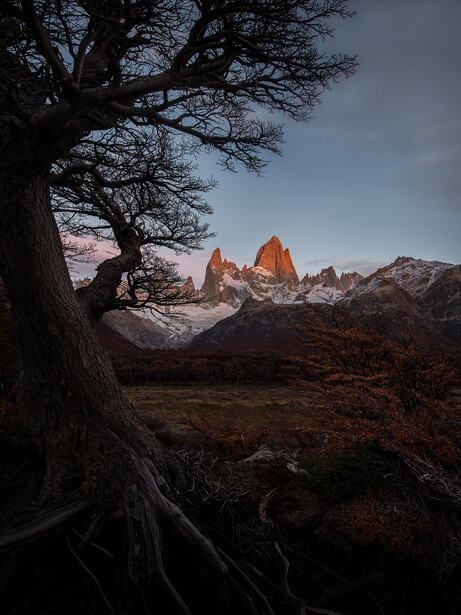 Gnarled tree trunk frames dramatic peaks in golden light at dusk.