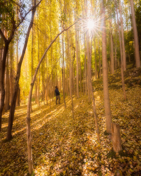 A man standing in a forest during autumn season in Pakistan