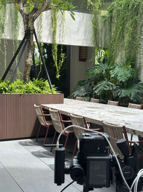 Modern outdoor dining space with concrete table, wooden chairs, and lush green plants overhead.