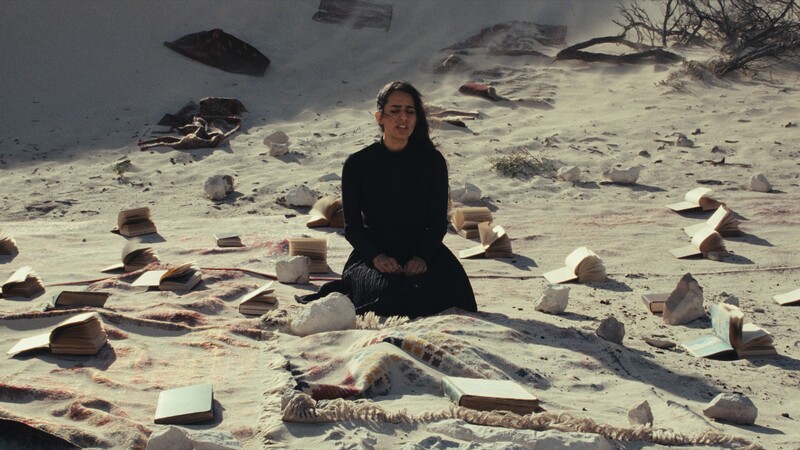 Person in black clothing crouching on sandy beach surrounded by scattered rocks and driftwood.