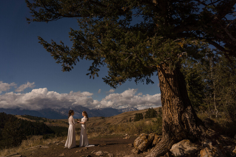 Couple in light-colored clothing standing beneath a large evergreen tree in a mountainous landscape at golden hour.