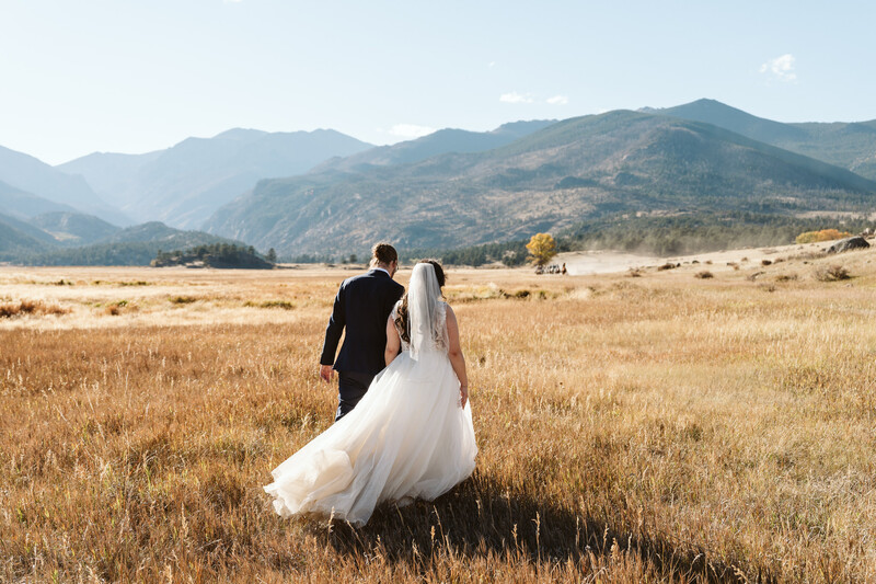 Bride and groom walking away through golden grassland with mountain range in background.