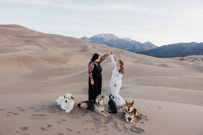 Two people in formal attire standing together on sand dunes with four dogs surrounding them and mountains in the background.