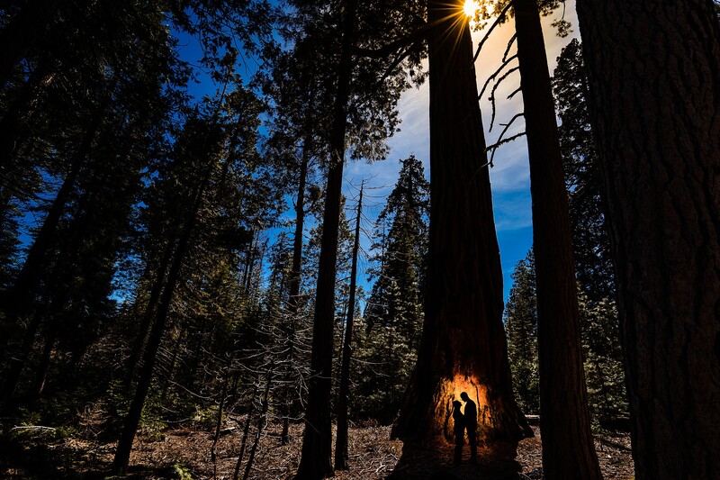 Two silhouetted figures standing inside a hollow giant sequoia tree trunk at dusk, surrounded by towering forest.