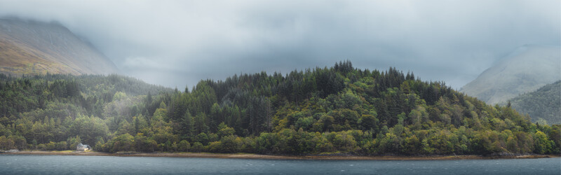 Dense coniferous forest along a calm water body with mist-shrouded mountains in the background.