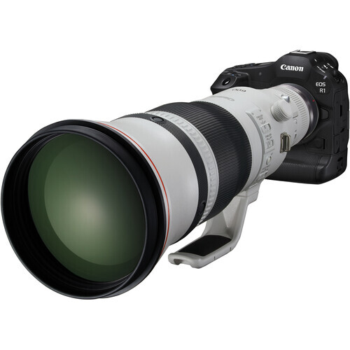 Canon R5 camera with Canon RF 800mm f/5.6L IS USM telephoto lens attached.