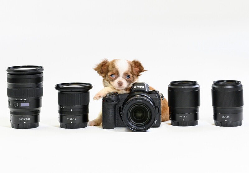 Small brown and white dog holding a Nikon DSLR camera surrounded by five camera lenses.