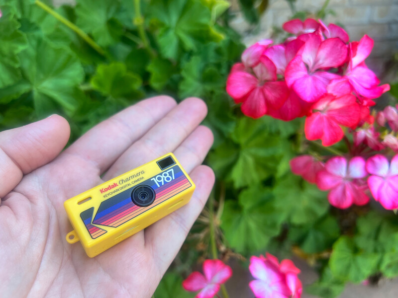 Yellow vintage film camera held in palm against blurred garden background with magenta flowers.