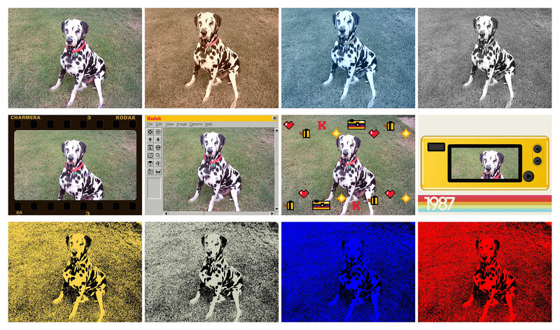 Collage showing the same dalmatian dog photographed against different colored backgrounds and processed with various digital filters and effects.