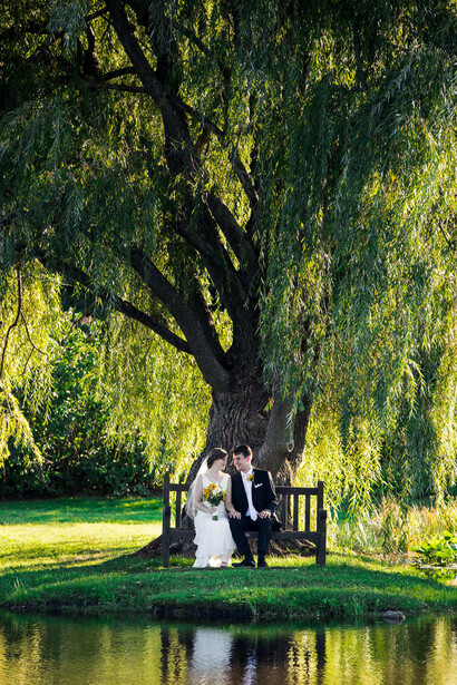 Bride and groom seated on a bench beneath a massive weeping willow tree beside still water.