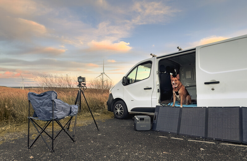 Dog looking out from open door of white camper van parked in rural field at sunset.