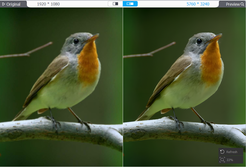 Robin perched on a branch, showing orange breast and gray-brown plumage against a soft green background.