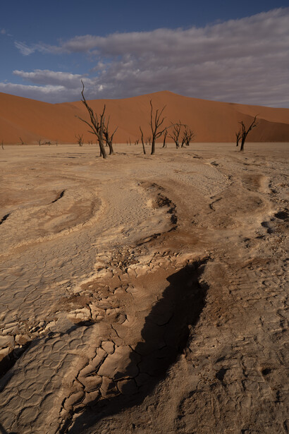 Deadvlei, Namibia.