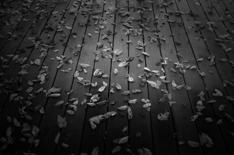 Fallen leaves scattered across dark wooden deck boards in linear pattern.