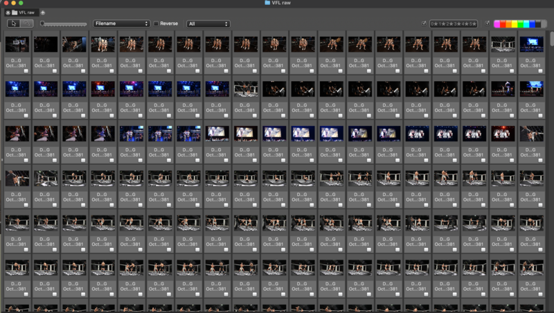 Screenshot of a digital asset management interface displaying a contact sheet grid of video clips and stills.