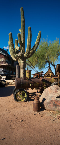 Saguaro cactus standing beside a weathered yellow vintage tractor in desert landscape.