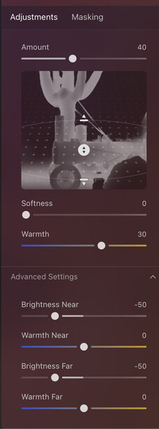 Screenshot of photo editing software showing adjustment sliders for masking, amount, softness, and advanced settings with a preview image.