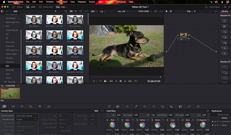 Screenshot of DaVinci Resolve video editing interface with dog jumping footage in main timeline.