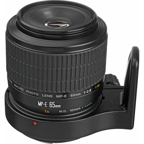 Olympus MP-E 65mm f/2.8 macro lens with lens hood attached, shown against white background.
