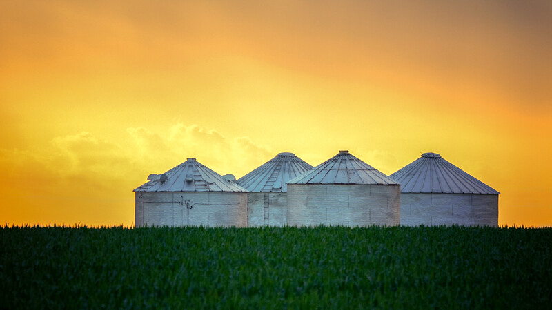 Four grain silos silhouetted against a golden sunset sky above a green crop field.
