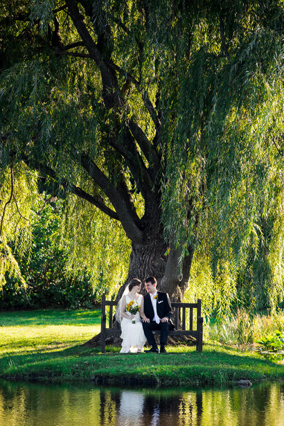 Bride and groom sitting on a bench beneath a large weeping willow tree beside still water.