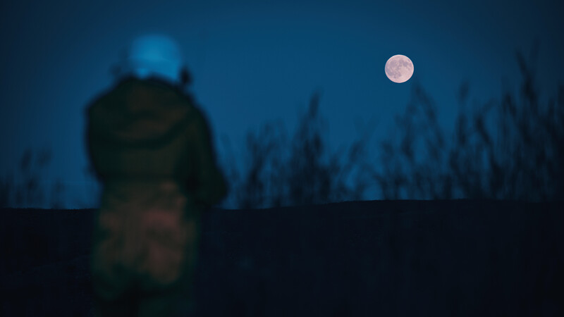 Figure silhouetted against a full moon rising over a dark forest landscape at dusk.