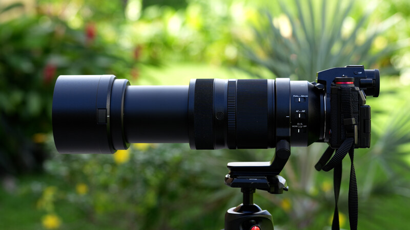 Telephoto lens mounted on a tripod with a garden blurred in the background.