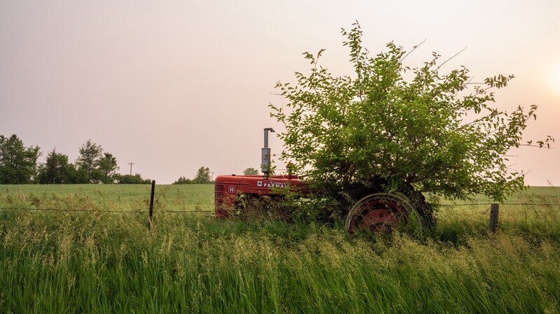 Abandoned red tractor overgrown with vegetation in an overgrown field under hazy sky.