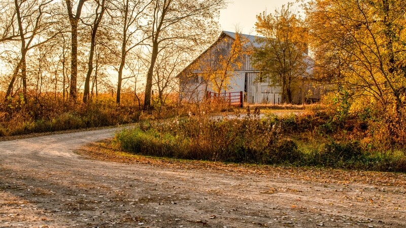 Rural barn nestled among bare trees and golden autumn foliage along a curved dirt road.