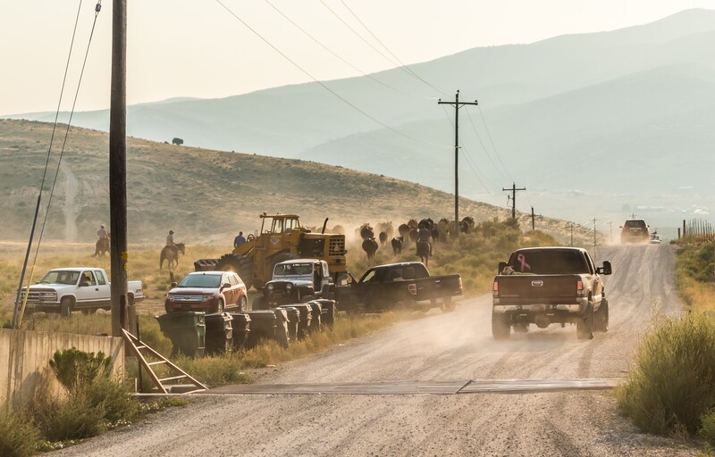 Convoy of vehicles driving on a dusty rural road surrounded by arid hillside terrain.