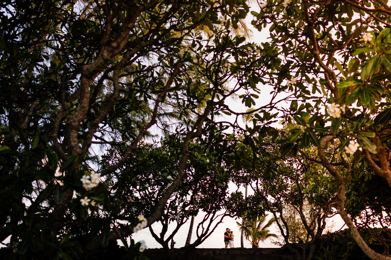 Dense canopy of intertwined tree branches and foliage creating a natural frame against bright sky.