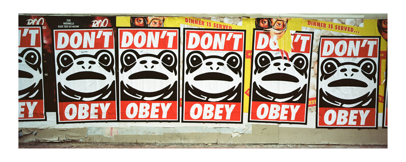 Street art mural with repeated stenciled frog heads and "DON'T OBEY" text in red and white.