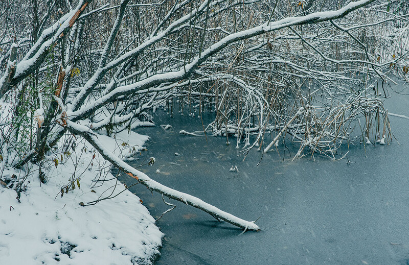Snow-covered branches lean over partially frozen water with winter vegetation visible along the banks.