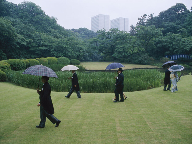 People with umbrellas walking across a manicured lawn bordered by reed plantings and forested hills.