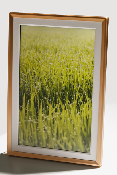 Framed photograph of a dense green grain field with shallow depth of field, displayed in a wooden frame with white mat.