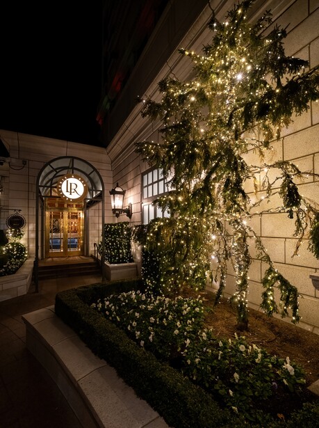 Nighttime storefront entrance decorated with cascading ivy and warm string lights.