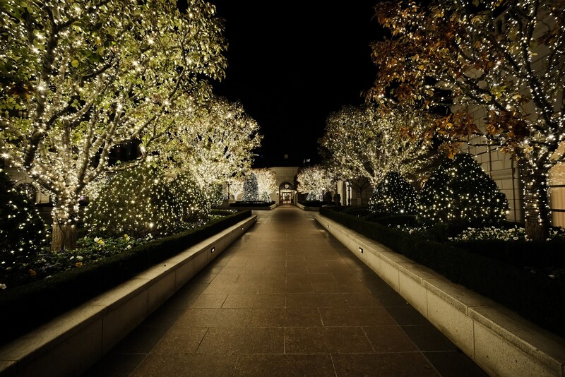 Nighttime pathway lined with illuminated trees creating a luminous tunnel effect toward a distant lit building.
