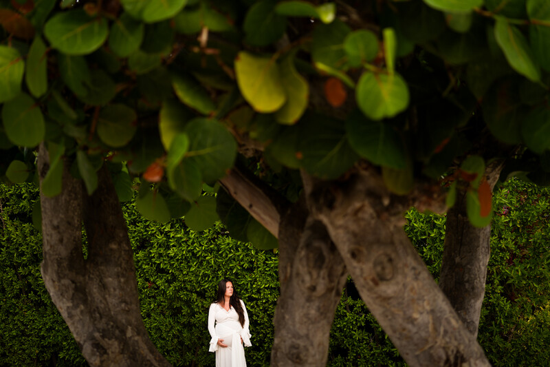 Woman in white dress standing beneath sprawling tree with moss-covered trunk and green canopy.