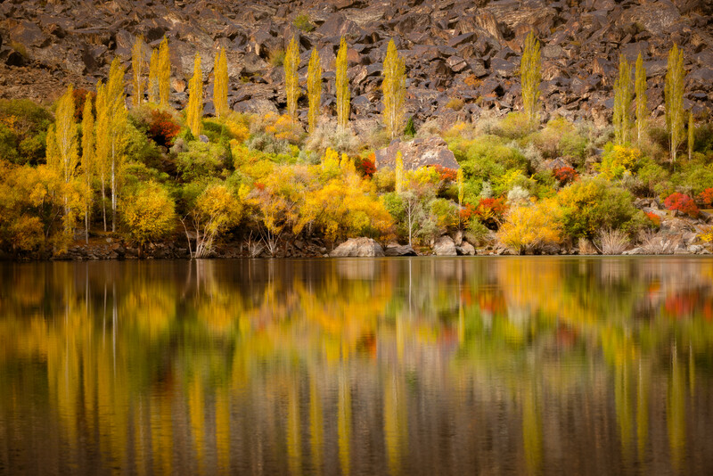 An autumn scene shot without a polarzier filter. 