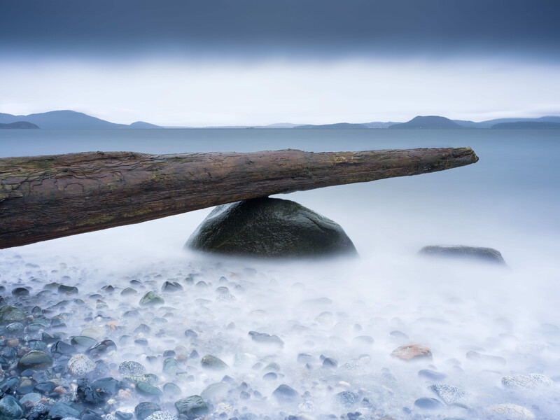 Driftwood log balanced on a moss-covered rock in shallow water with mountains visible across the bay.