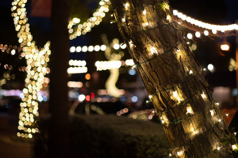 Tree trunk wrapped with warm-toned string lights at night, creating a bokeh effect with blurred cityscape background.