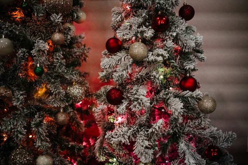 Frost-covered Christmas trees decorated with red and gold ornaments and warm string lights.