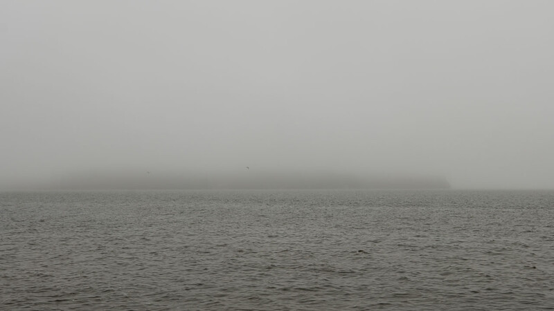 Minimalist seascape with calm water meeting a fog-obscured horizon under overcast sky.