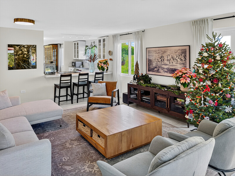 Bright residential living room with contemporary furnishings, decorated Christmas tree, and natural light from multiple windows.