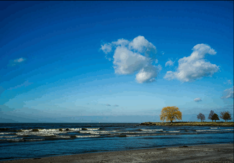 Coastal landscape with white-capped waves, golden trees, and fluffy white clouds in blue sky.