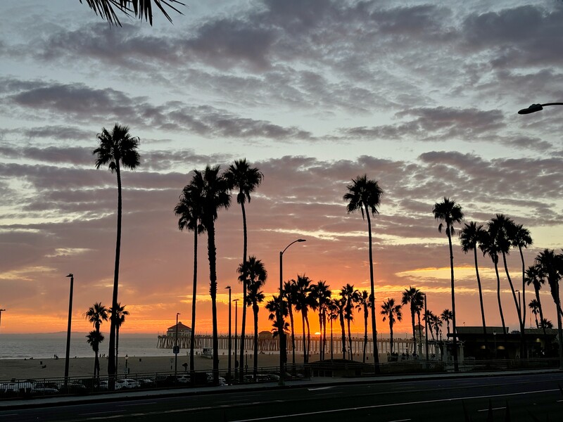 Palm trees silhouetted against a dramatic sunset sky with orange and purple clouds over a coastal pier.