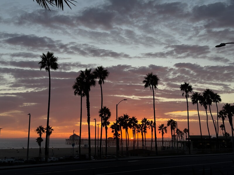 Silhouetted palm trees backlit by a dramatic sunset sky with orange and purple clouds.