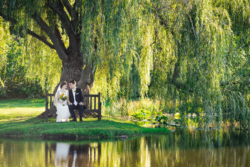 Bride and groom seated on a wooden bench beneath a large weeping willow tree beside a calm pond.