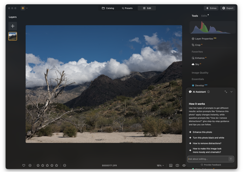 Screenshot of photo editing software displaying a desert landscape with mountains and dead tree.